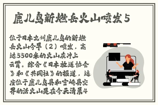 男人的好看视频在线观看